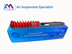 Kit di trasformazione della molla a aria in molla