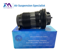 Tecno-Master Porsche Panamera posteriore