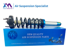 Ford F150 Assorbente d'urto a sospensione anteriore