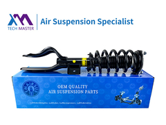 TMAIRSUS Tesla Modello Y Coil anteriore a molla AWD