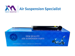 TMAIRSUS Audi TT/A3 Assorbitore posteriore 8J0513030Q