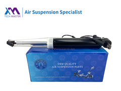 TMAIRSUS Lincoln MKT Assorbente d'urto posteriore sinistro con ADS DE9Z18125J, DE9Z18125B, DE9Z18125G