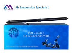 TMAIRSUS Power Liftgate per Range Rover Sport 2010-2013 LR062078