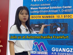 Assorbente d'urto posteriore con ammortizzatore adattivo per Land Range Rover Evoque LR079420 LR079421