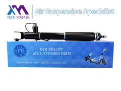 TMAIRSUS shock absorber per Lincoln MKT ASH24635