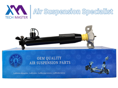 Tecnico TMAIRSUS Assorbente di urti posteriore sinistro per Lincoln MKX F2GZ18125Z