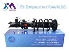 Master tecnico TMAIRSUS Lincoln MKT Assorbente d'urto frontale sinistro completo AST18205