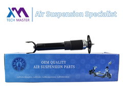 Assorbente d'urto posteriore Assorbente di sostegno per Cadillac C5 22248830