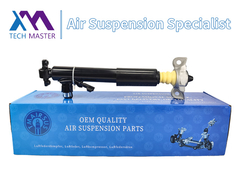 TMAIRSUS Assorbente di urti posteriore destro per Lincoln MKT DE9Z18125A