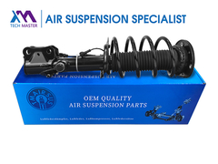 TMAIRSUS Assorbente d'urto frontale destro per Lincoln MKX F2GZ-18124-AT