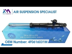 TMAIRSUS TECNOLOGIA Master TMAIRSUS Assorbitore di urti posteriori per Audi A6 C6 4F0616031M