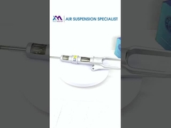 Sezione vista dell'ammortizzatore della sospensione pneumatica per Porsche Panamera 97034305215; 97034305115