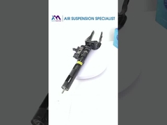 Sezione vista dell'ammortizzatore della sospensione anteriore per BENZ W166 1663201313