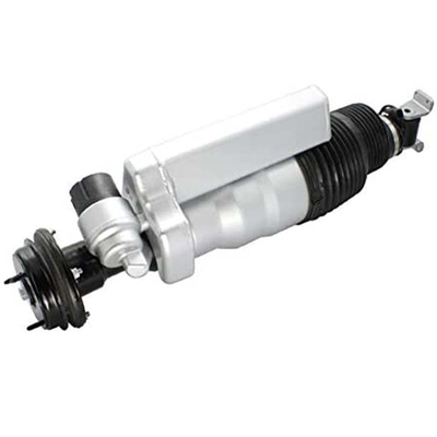 Scossa della sospensione dell'aria per il puntone della parte anteriore 2403202013 2403201913 Airmatic di Mercedes Maybach W240