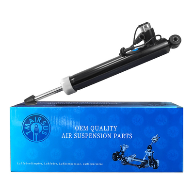 OEM Standard Car Rear Shock Absorber per posizione posteriore sinistra destra Tecnologia avanzata