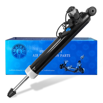 OEM Standard Car Rear Shock Absorber per posizione posteriore sinistra destra Tecnologia avanzata