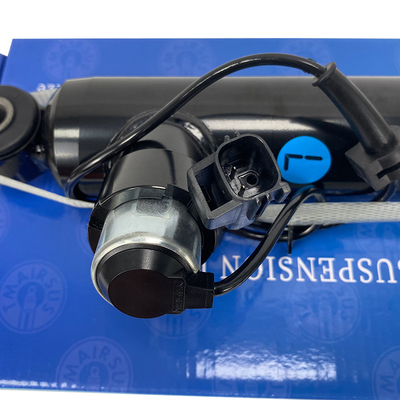 OEM Standard Car Rear Shock Absorber per posizione posteriore sinistra destra Tecnologia avanzata