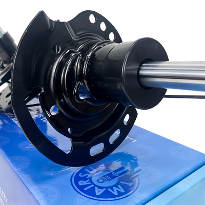 EG9Z18124J Assorbitore di urti / sistema di sospensione ad aria per Lincoln MKZ Fronte destra