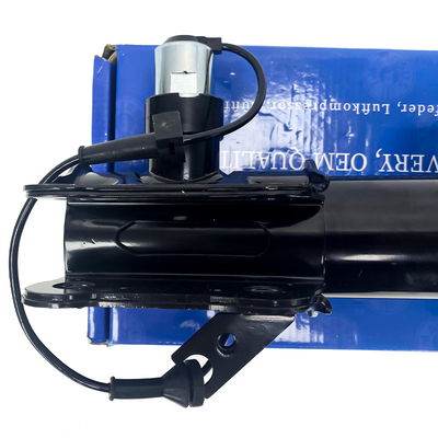 EG9Z18124J Assorbitore di urti / sistema di sospensione ad aria per Lincoln MKZ Fronte destra