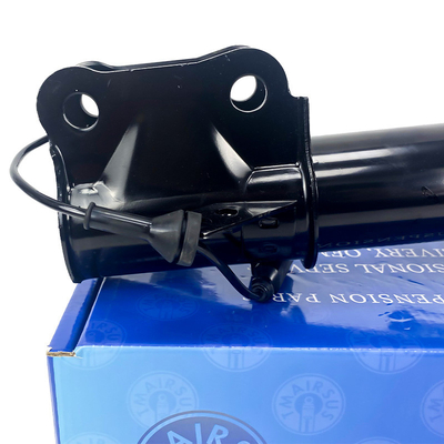 EG9Z18124J Assorbitore di urti / sistema di sospensione ad aria per Lincoln MKZ Fronte destra