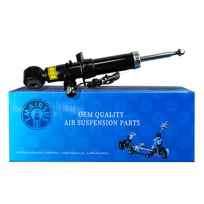 Assorbitore di scosse per auto Lincoln Navigator OEM FL1Z18124A Strut posteriore