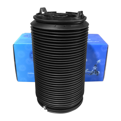 Ford Tourneo Air Spring posteriore FB0006352