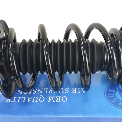 Struts e molle anteriori Assorbitori di scosse anteriori DA5Z18124K DA5Z18124J per Lincoln MKS MKT
