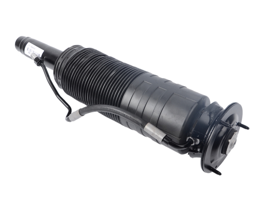 Numero di prodotto 2203208313 2203205813 2203208413 2203205413 Assorbitore idraulico per Mercedes-Benz CL/ S-Class W220 W215