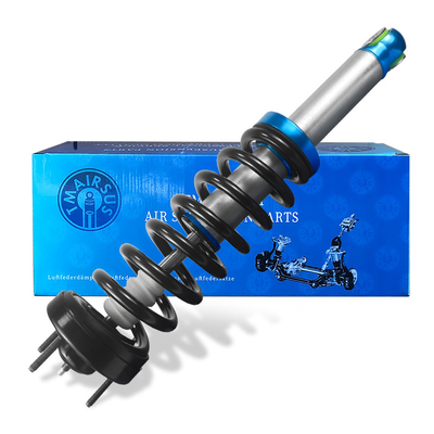 Assorbente d'urto della sospensione anteriore dell'aria per auto BL3Z-18124-H BL3Z-18124-J ASH-12262 Assorbente d'urto anteriore dell'aria per F150 2010-2016