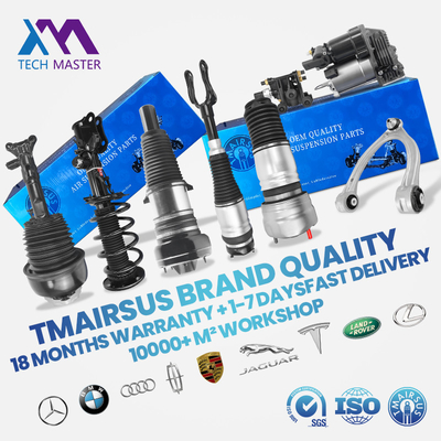 Performance eccellente ammortizzatore di vibrazioni assorbente d'urto 2033201330 per Mercedes-Benz C203 2004-2008