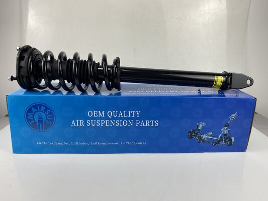 1015619 Tesla Model S Front Left And Right Coil Spring Shock RWD Shock Strut Assembly Coil Type 1015619-01-E