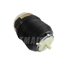 Molle di sospensione posteriori di destra/sinistre aria per A6C6 4F0616001 4F0616001J
