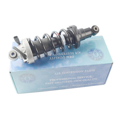 Automobile tedesca Audi R8 Front Air Spring Shock Absorber 420412019AG 420412020AG