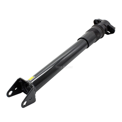 I ricambi auto ventilano le scosse della sospensione dell'aria del puntone per le scosse 2513203013 della sospensione dell'aria della classe di Mercedes Benz W251 R