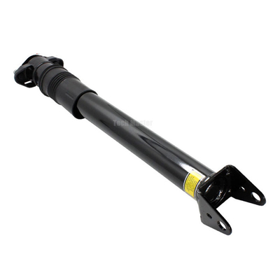 I ricambi auto ventilano le scosse della sospensione dell'aria del puntone per le scosse 2513203013 della sospensione dell'aria della classe di Mercedes Benz W251 R