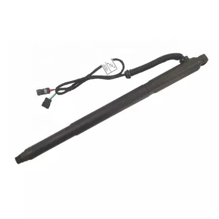 Primavera 51247332697 del puntone del gas della porta posteriore per il puntone posteriore della primavera di gas dei ricambi auto del F16 F86 di BMW X6 E71 E72 X6