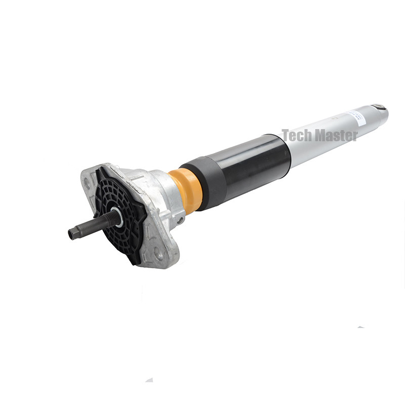 Ammortizzatore della molla pneumatica della sospensione per l'ammortizzatore elettrico della sospensione della parte posteriore di Panamera 97033316106 97033306109