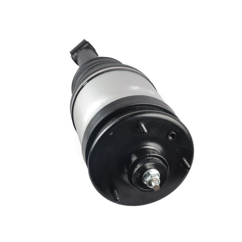 L'ammortizzatore della parte posteriore di RTD501090 LR041110 RPD500890 varia Rover Sport Discovery 3/4 di L320