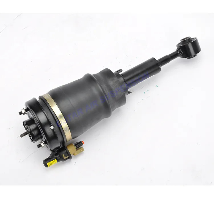 Ammortizzatore dell'aria destro sinistro anteriore del puntone della sospensione dell'aria di spedizione di Ford 6L1Z18A099DA 3L1Z18125AB