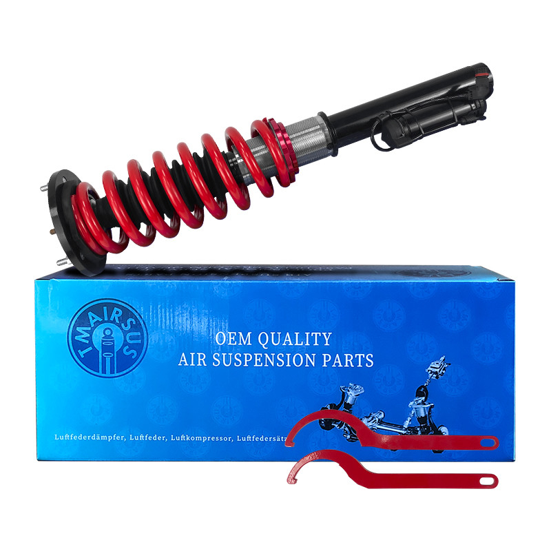 Kit di trasformazione stagno-aria per modelli di auto Mercedes W220 S-class