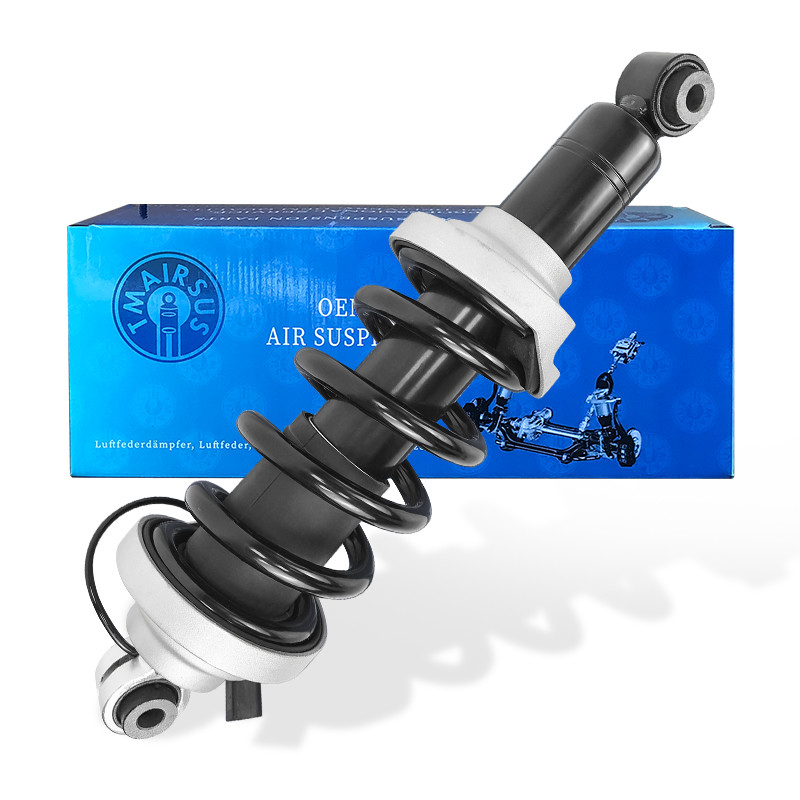 OEM 420412019AG 420412020AG Kit per le protesi anteriori e le protesi anteriori per le protese assemblate dell'Audi R8 2010-2016