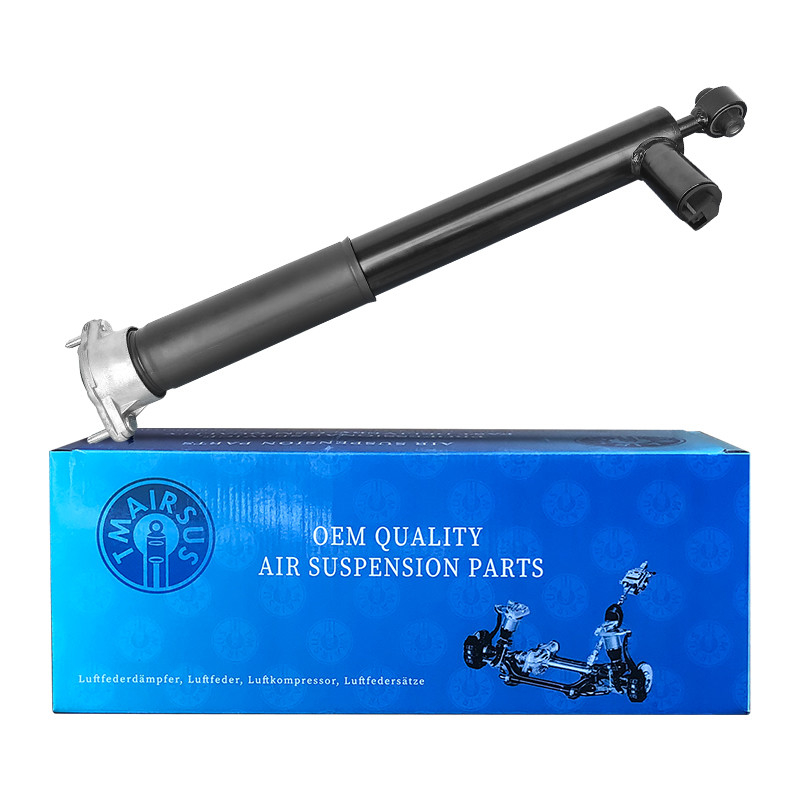 Assorbitori di urti automatici 2123201530 2123201630 2123201730 2123260700 Per Mercedes-Benz W212 E-CLASS Tipo lungo posteriore sinistro