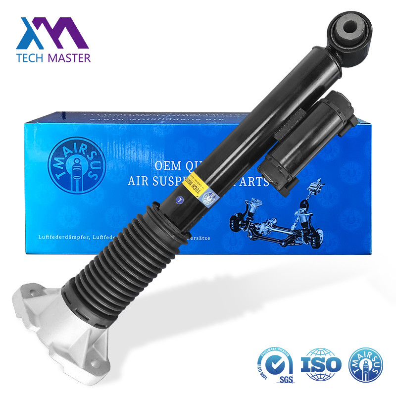 Ammortizzatore pneumatico sospensione posteriore 1673200302 1673200402 per Mercedes-Benz GLS GLE-Class W167