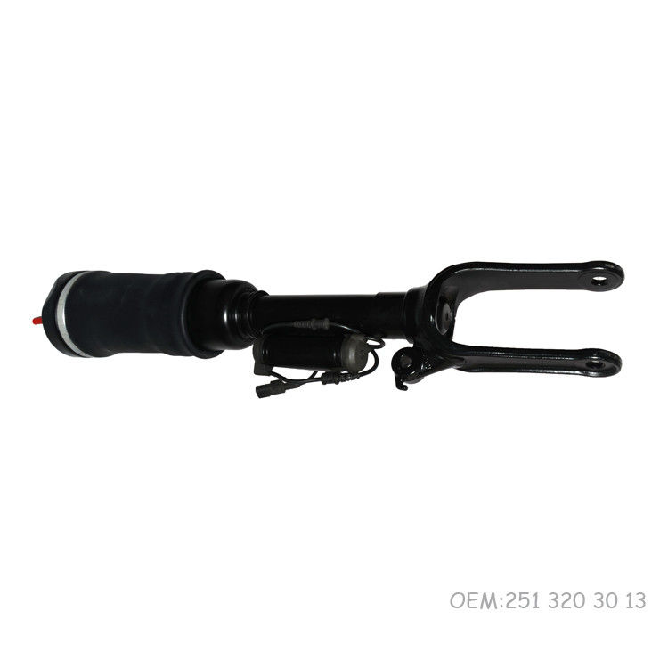 Scossa 2513203013 della sospensione dell'aria ISO9001 per Mercedes-Benz W251 R - classi 2006 - 2010
