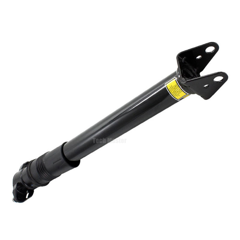 I ricambi auto ventilano le scosse della sospensione dell'aria del puntone per le scosse 2513203013 della sospensione dell'aria della classe di Mercedes Benz W251 R