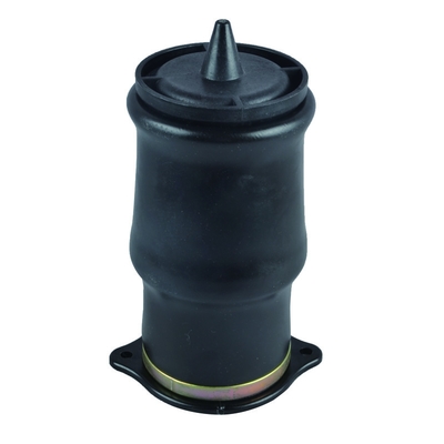 6393280101 6393280201 parte posteriore della sospensione della molla pneumatica per Mercedes Benz W639 2003-2014