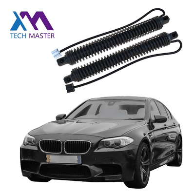 51247207009 51247207010 ricambi auto di potere del ponte levatoio del puntone elettrico della porta posteriore per il RH 2011-2016 del LH di BMW 5series F10 F18