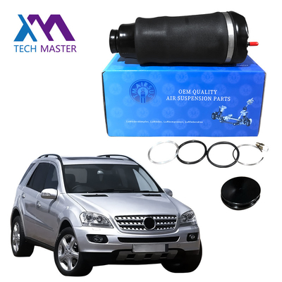 1643206013 molle di sospensione dell'aria di Airmatic per Mercedes Benz ml - classe GL - parte anteriore della classe W164 X164