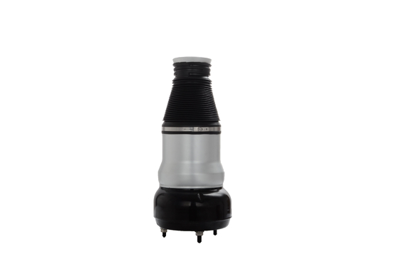 2223204713 2223204813 Sorgenti di sospensione ad aria per Mercedes Benz classe S W222