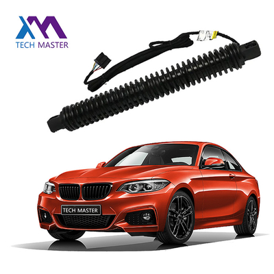 Supporto per l'ascensore della BMW Liftgate per 7X0LI F02 51247185713 Auto Gas Spring Rear